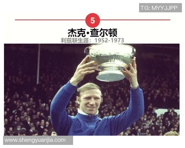 足球明星12号的传奇故事与他在赛场上的辉煌成就揭秘